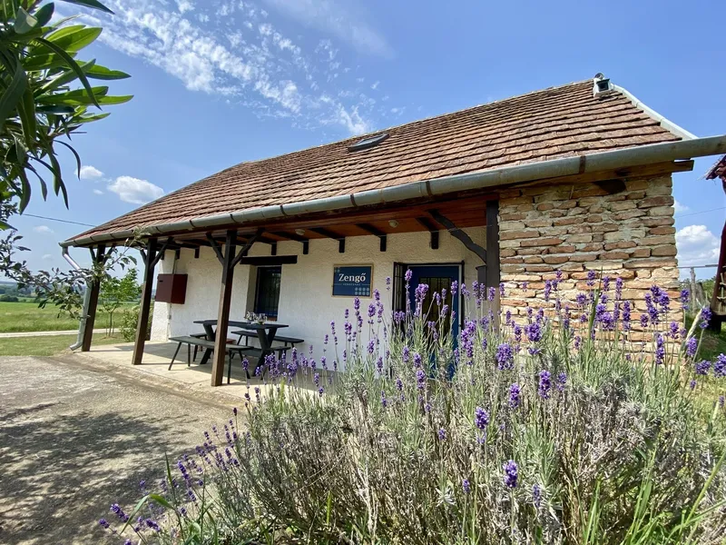 Zengő Vendégház Borgáta